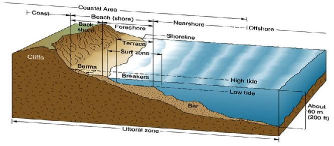 Littoral_Zones.jpg