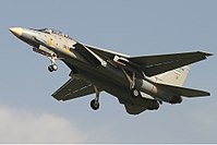 200px-Iran_Air_Force_Grumman_F-14A_Tomcat_Sharifi.jpg