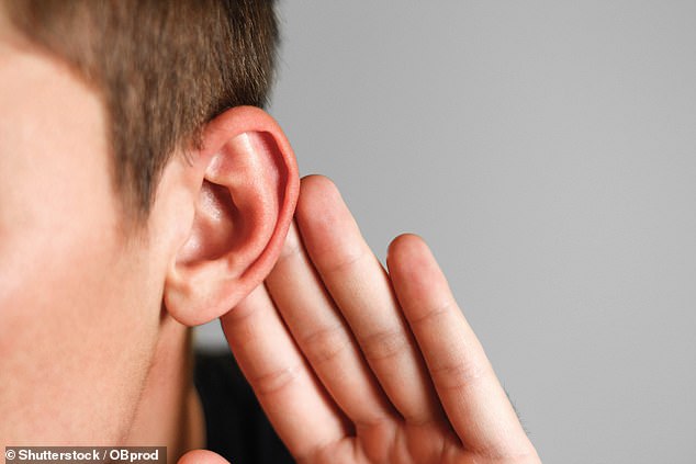 The middle-ear bone and cochlea could be replaced completely with an implant that improves hearing and give soldiers supersonic hearing (stock image)