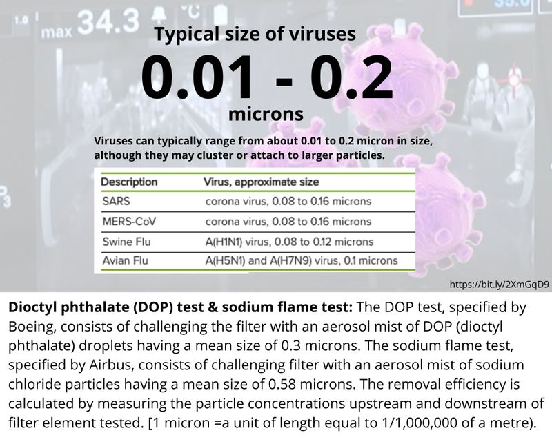 virus size